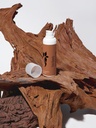 Crème Solaire Teintée SPF30