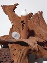 Crème hydratante de nuit