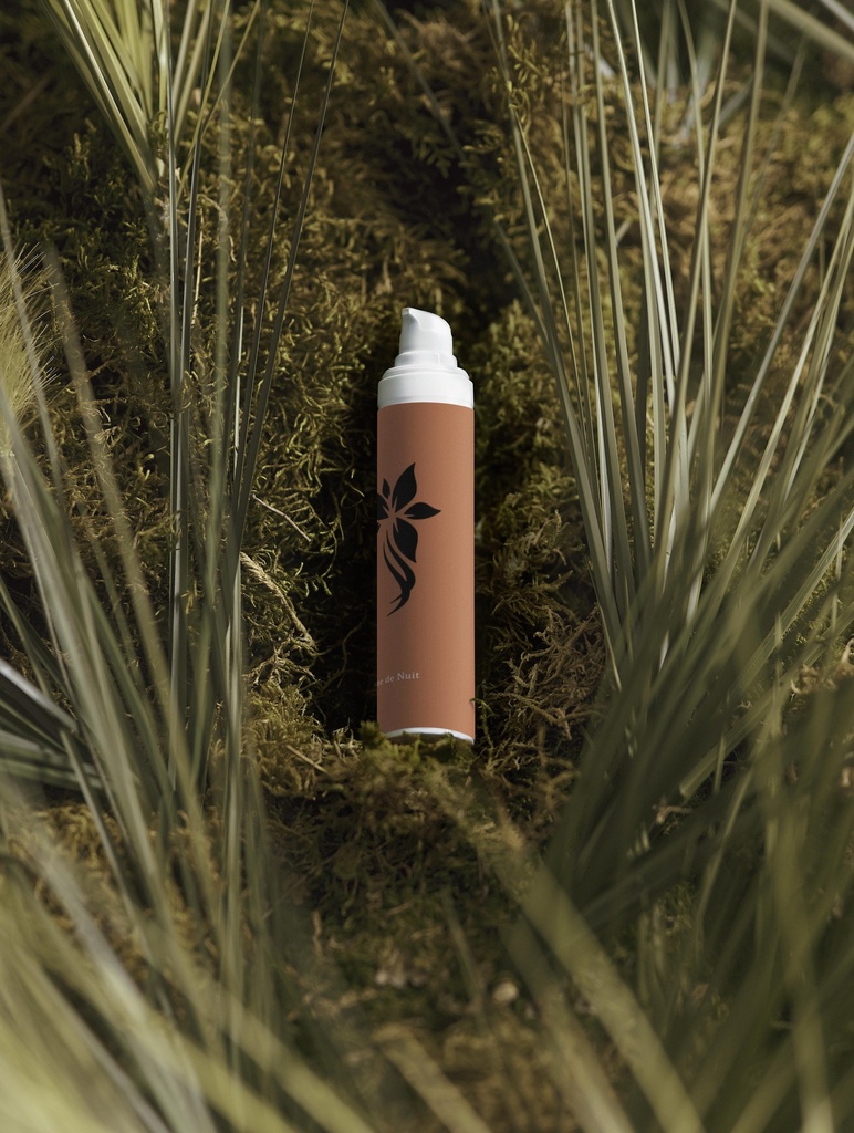 Crème hydratante de nuit